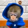 🥐 Эмодзи «Monkey» для Telegram