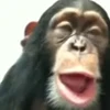 😯 Эмодзи «Monkey» для Telegram