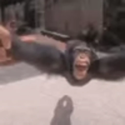 😜 Эмодзи «Monkey» для Telegram