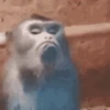 😕 Эмодзи «Monkey» для Telegram