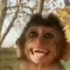 🐵 Эмодзи «Monkey» для Telegram