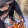 🍝 Эмодзи «Monkey» для Telegram
