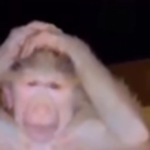 😨 Эмодзи «Monkey» для Telegram