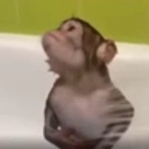 🚿 Эмодзи «Monkey» для Telegram