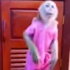🥳 Эмодзи «Monkey» для Telegram