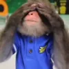 Стикер 10 Monkey - обезьянки пон эмоджи
