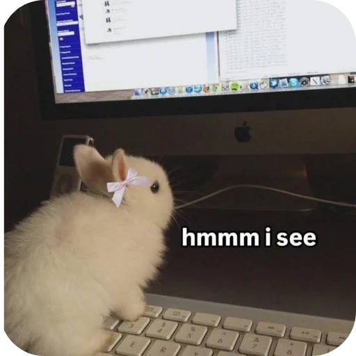 🧐 Стикер «₍⑅ᐢ. .ᐢ₎ ⁺ . Bunny┈ ⸝ ⸝ ദ» для Telegram