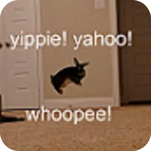 🐇 Стикер «₍⑅ᐢ. .ᐢ₎ ⁺ . Bunny┈ ⸝ ⸝ ദ» для Telegram