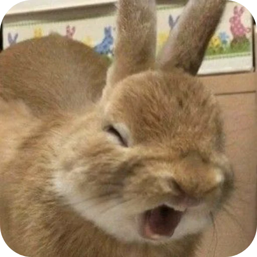 🐰 Стикер «₍⑅ᐢ. .ᐢ₎ ⁺ . Bunny┈ ⸝ ⸝ ദ» для Telegram