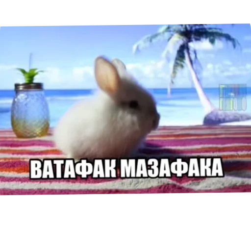👍 Стикер «₍⑅ᐢ. .ᐢ₎ ⁺ . Bunny┈ ⸝ ⸝ ദ» для Telegram