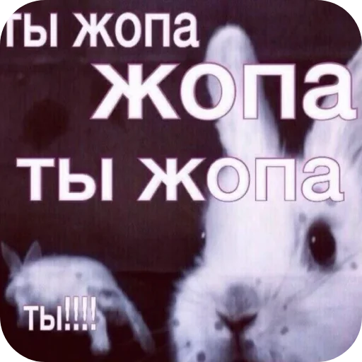 🫵 Стикер «₍⑅ᐢ. .ᐢ₎ ⁺ . Bunny┈ ⸝ ⸝ ദ» для Telegram