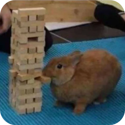 🐇 Стикер «₍⑅ᐢ. .ᐢ₎ ⁺ . Bunny┈ ⸝ ⸝ ദ» для Telegram