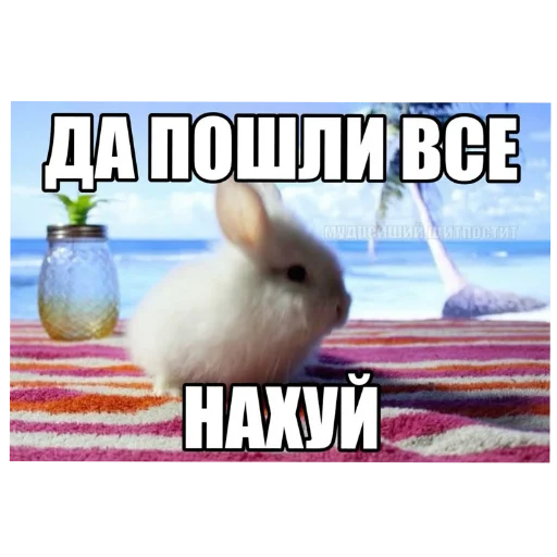 🐱 Стикер «₍⑅ᐢ. .ᐢ₎ ⁺ . Bunny┈ ⸝ ⸝ ദ» для Telegram