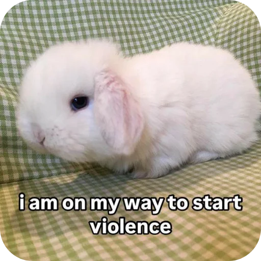 🐇 Стикер «₍⑅ᐢ. .ᐢ₎ ⁺ . Bunny┈ ⸝ ⸝ ദ» для Telegram