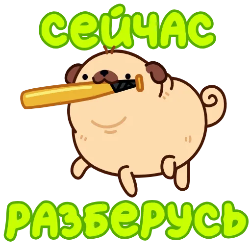 Стикер 21 Анимированный набор эмоджи с мопсом Пельменем
