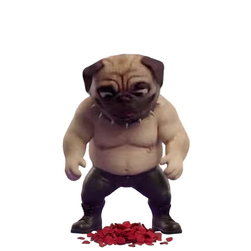🌹 Стикер «ЗВЕЗДЫ» для Telegram