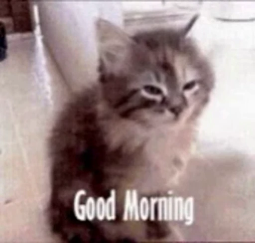 😘 Стикер «Morning» для Telegram