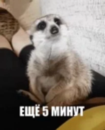 😘 Стикер «Morning» для Telegram