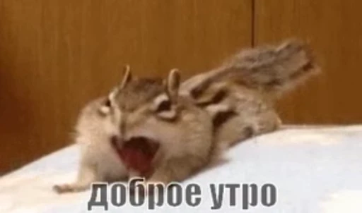 😘 Стикер «Morning» для Telegram