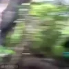 Стикер 41 Mr Beast