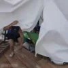 Стикер 7 Mr Beast