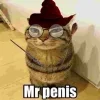Стикер 13 Mr Penis Emoji