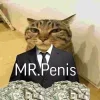 Стикер 16 Mr Penis Emoji