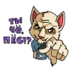 🫵 Эмодзи «МудаКот» для Telegram