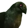 Стикер 14 𝓜𝓾𝓻𝓭𝓮𝓻 𝓭𝓻𝓸𝓷𝓮𝓼 𝓟𝓪𝓬𝓴004