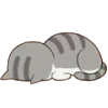Стикер 49 Mycatsclub