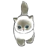 Стикер 37 Mycatsclub