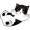 Стикер 13 Mycatsclub