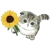Стикер 34 Mycatsclub