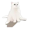 Стикер 51 Mycatsclub