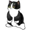 Стикер 16 Mycatsclub