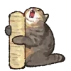 Стикер 60 Mycatsclub
