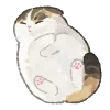 Стикер 59 Mycatsclub