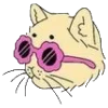 Стикер 5 Mycatsclub