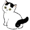 Стикер 22 Mycatsclub