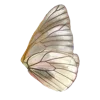 Стикер 3 Golden Pearl