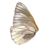 Стикер 2 Golden Pearl