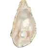Стикер 20 Golden Pearl