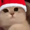 Стикер 23 Нг Мемы
