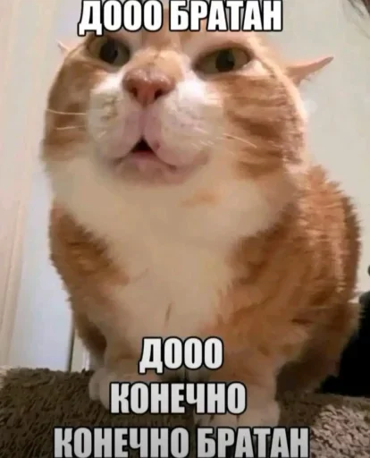 🤩 Стикер «На немецком» для Telegram