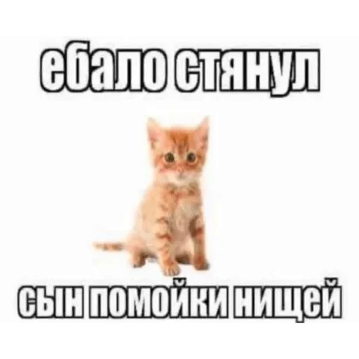 😒 Стикер «На немецком» для Telegram