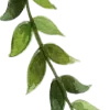 Стикер 56 Nature