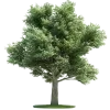 Стикер 29 Nature