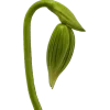Обложка набора Nature
