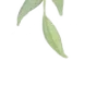 Стикер 59 Nature
