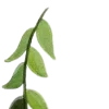 Стикер 55 Nature